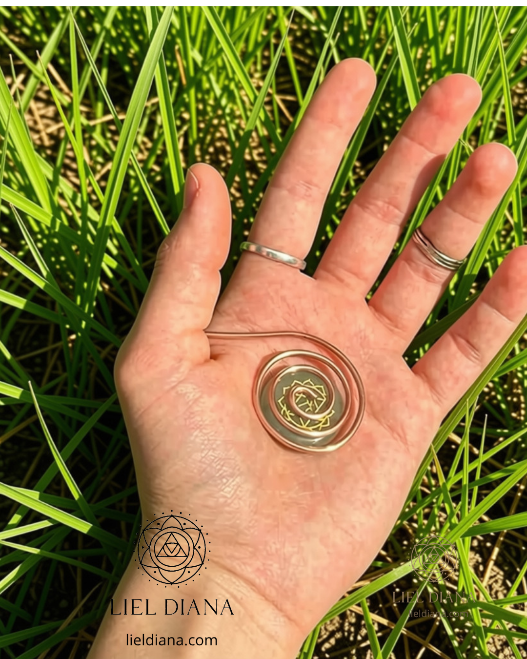 Anillo de Palma de Espiral